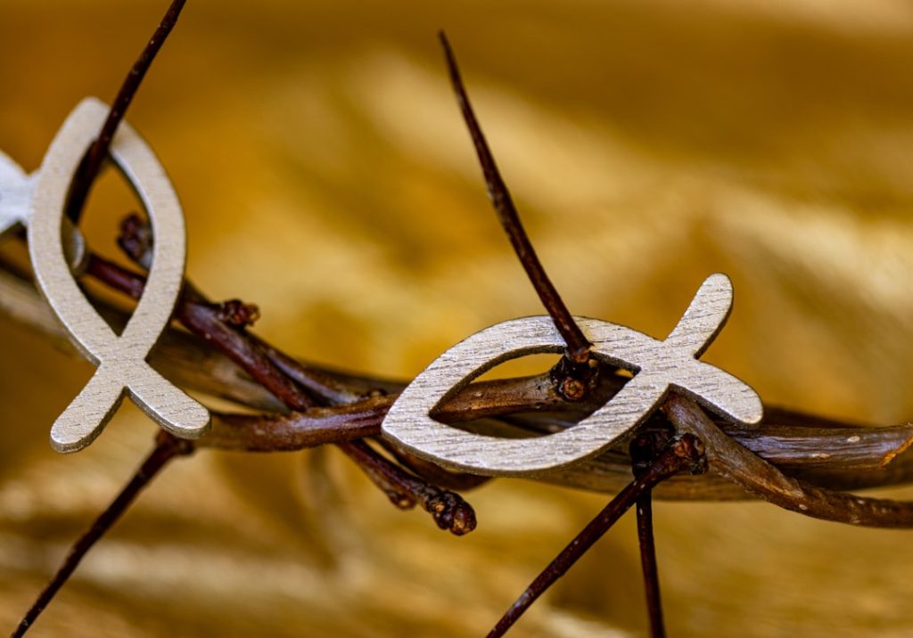 Photo Crown symbol